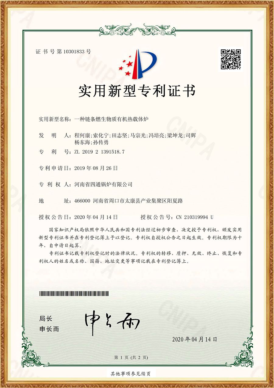 一种链条燃生物质热载体炉