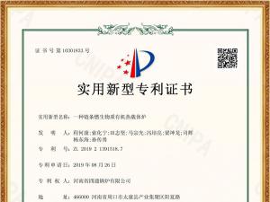 种链条燃生物质热载体炉