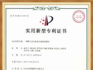 一种燃气承压热水冷凝低氮锅炉