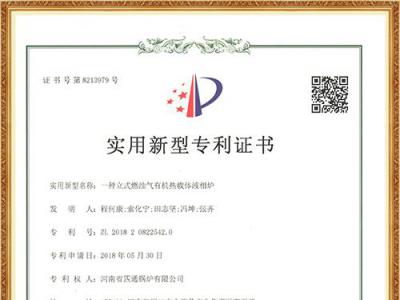 立式燃油气热载体炉