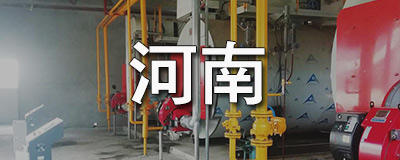 河南某建筑公司使用低氮WNS4-1.25-Q锅炉